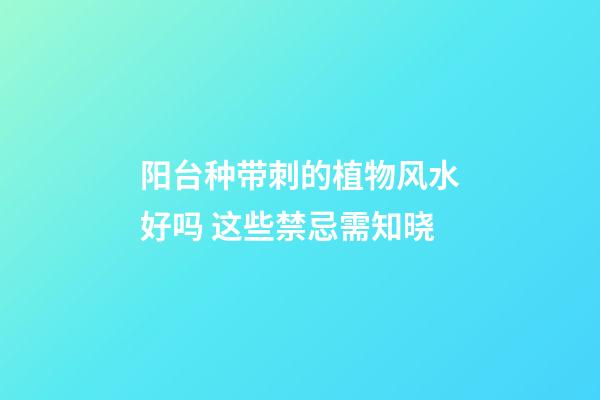 阳台种带刺的植物风水好吗 这些禁忌需知晓
